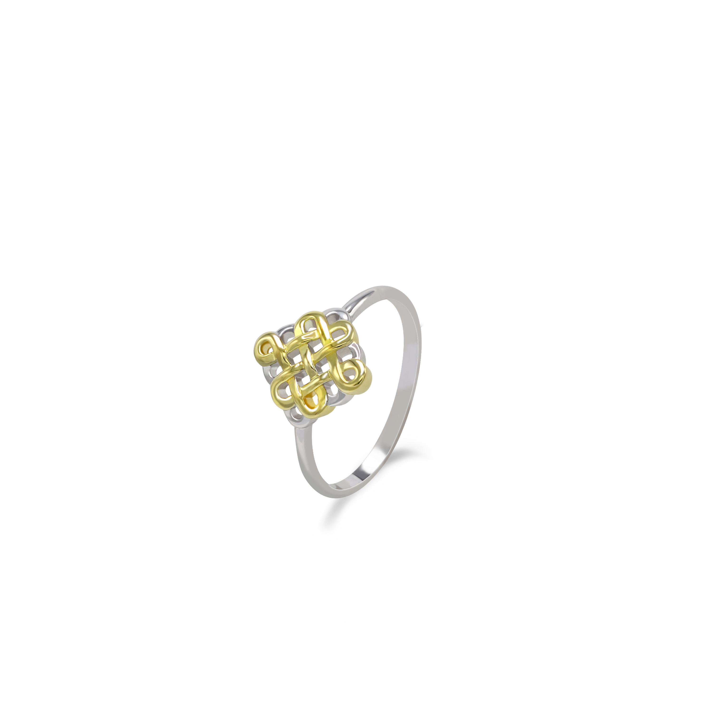 ULZII Dual Metal Ring - BAIGAL